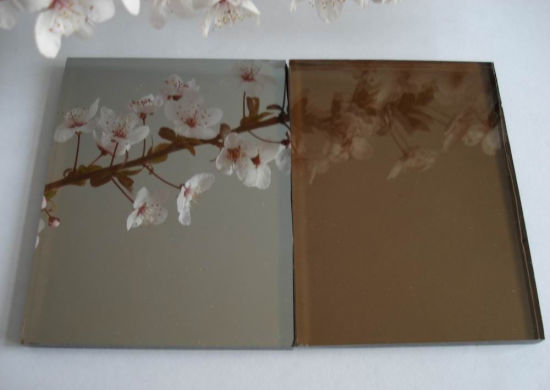 Glorious Future Low E Coated Glass في زجاج المبنى للنوافذ الزجاجية المعزولة