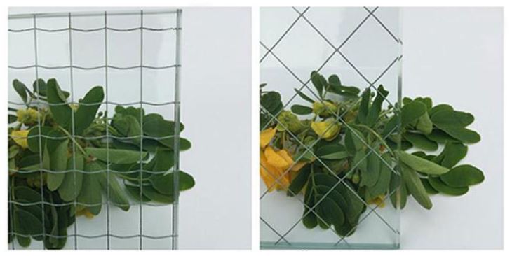 p20 17040810333 07800441